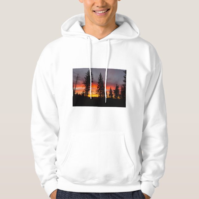 Sweatshirt Sweat - shirt à capuche de l'Oregon Sun (Devant)