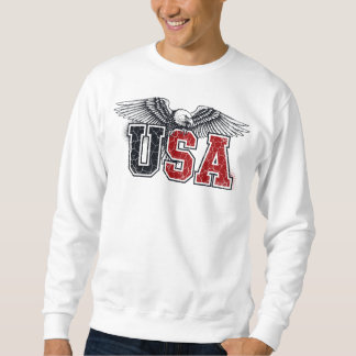 Sweatshirt USA - American Eagle Varsity Style Classic Vintage