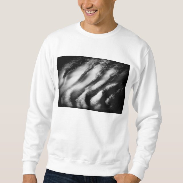 Sweatshirt vautours tombé (Devant)