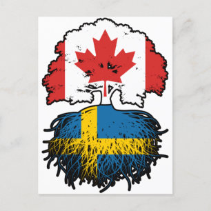 Sweden Swedish Canadian Canada Tree Roots Flag Postcard
