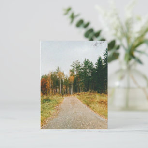 Swedish Autumnal Forest Holiday Postcard