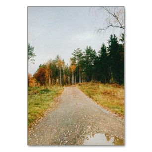 Swedish Autumnal Forest Table Number