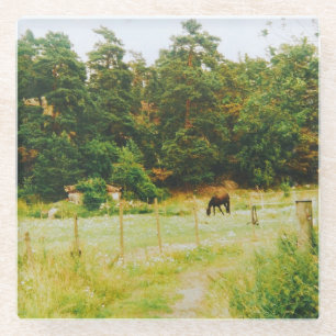 Swedish Countryside Glass Coaster