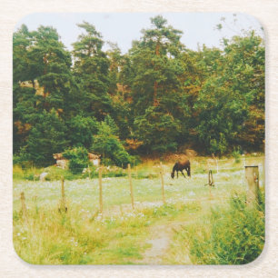 Swedish Countryside Square Paper Coaster