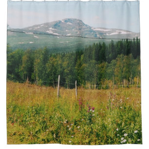 Swedish Mountain Landscape