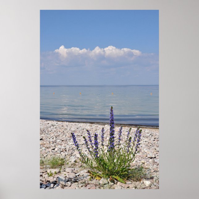 Swedish Summer Print (Front)