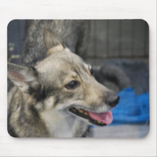 Swedish Vallhund Mouse Pad