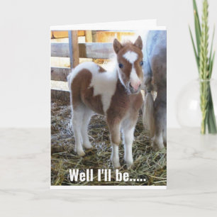 SWEEEET DONKEY DIT JEUX 50ème ANNIVERSAIRE ! Carte