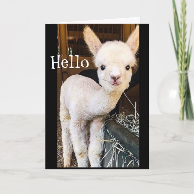SWEET ALPACA SAYS *HAPPY 2nd BIRTHDAY" Card (Front)