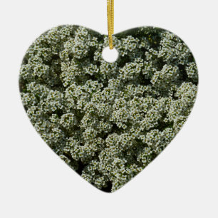 Sweet Alyssum Flowers White Floral Ceramic Ornament