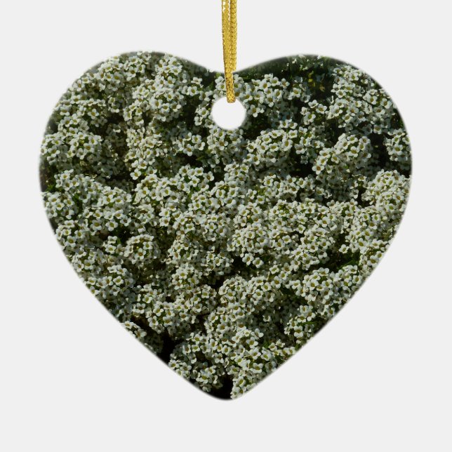 Sweet Alyssum Flowers White Floral Ceramic Ornament (Front)