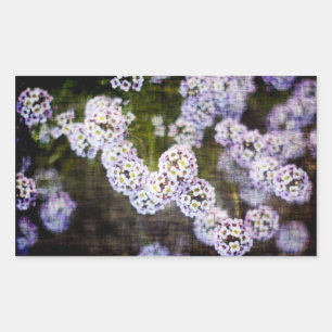 Sweet Alyssum in Grunge Sticker