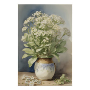 Sweet Alyssum  Poster