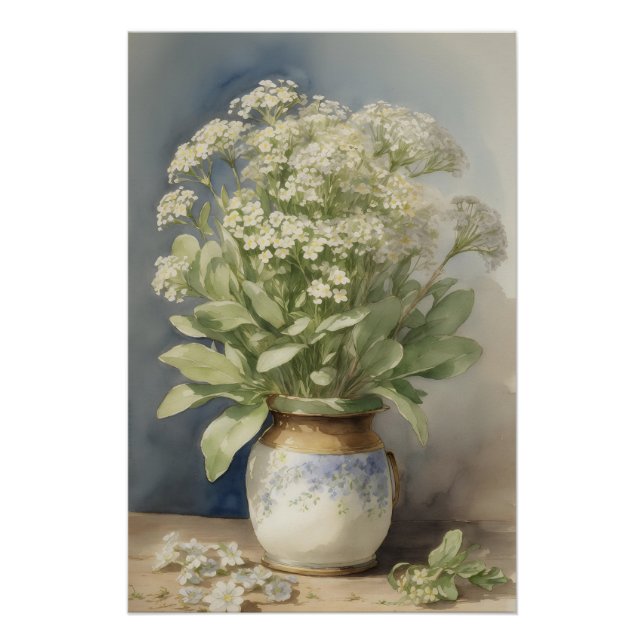 Sweet Alyssum  Poster (Front)
