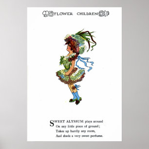 Sweet Alyssum Poster