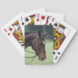 Sweet Arabian Horse Deck of Cards