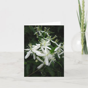 Sweet Automne Clematis Photo Plaqué Carte de note