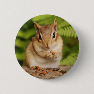 sweet baby chipmunk 2 inch round button
