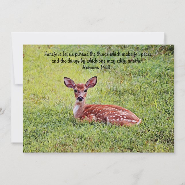 Sweet Baby Deer Fawn Art Bible Verse Flat Card (Front)