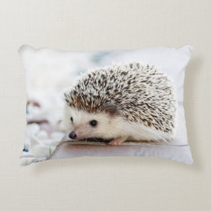 Sweet Baby Hedgehog Decorative Pillow