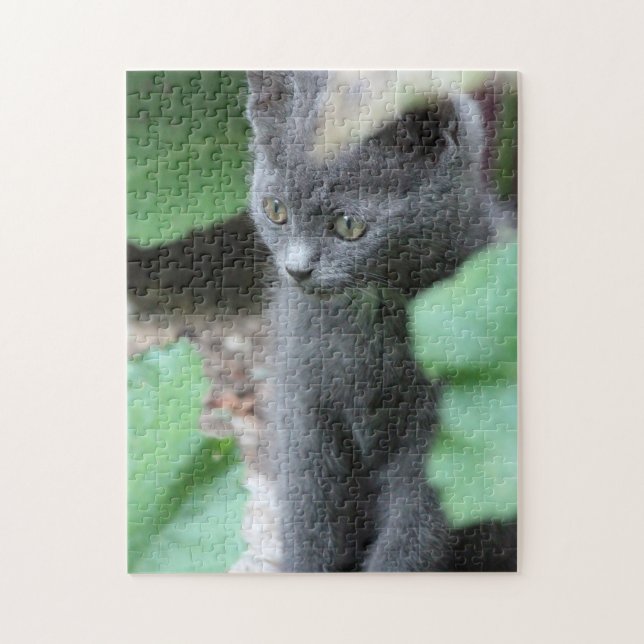 Sweet Baby Kitten Puzzle (Vertical)