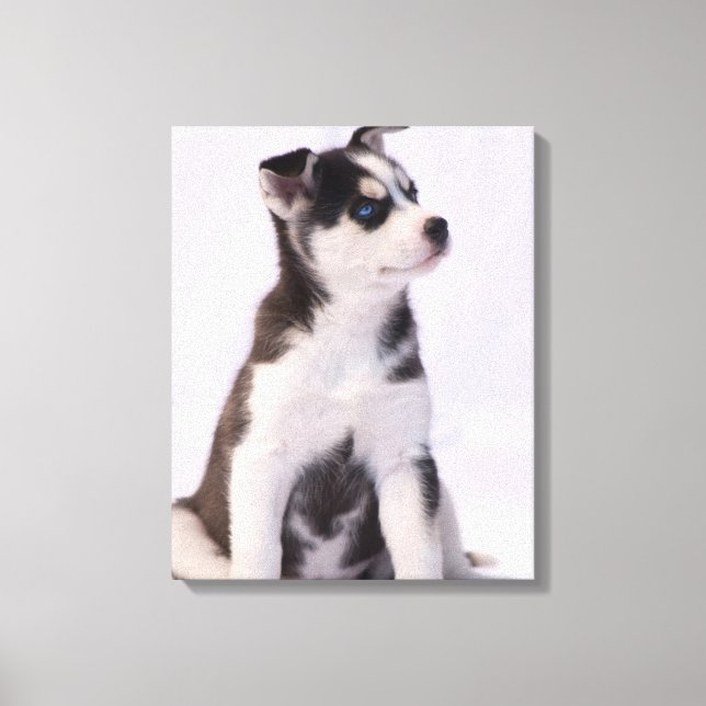 Sweet Baby Puppy Canvas Print (Front)