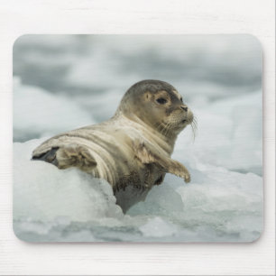 Sweet Baby Seal Mouse Pad