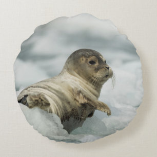 Sweet Baby Seal Round Pillow