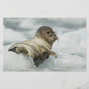 Sweet Baby Seal Stationery