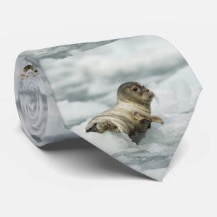 Sweet Baby Seal Tie