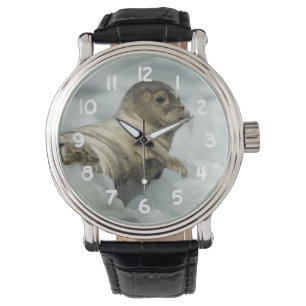 Sweet Baby Seal Watch