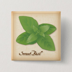 Sweet Basil Herb 2 Inch Square Button