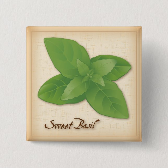 Sweet Basil Herb 2 Inch Square Button (Front)