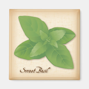 Sweet Basil Herb Magnet