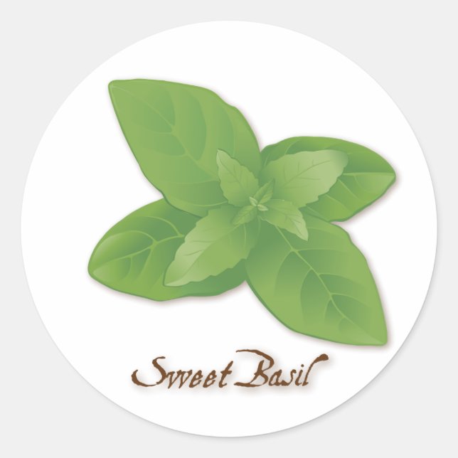 Sweet Basil Herb Round Sticker (Front)