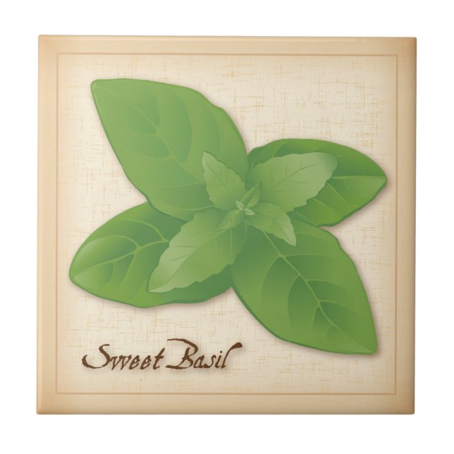 Sweet Basil Herb Tile (Front)