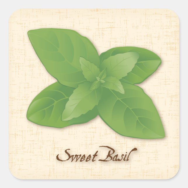 Sweet Basil Square Sticker (Front)