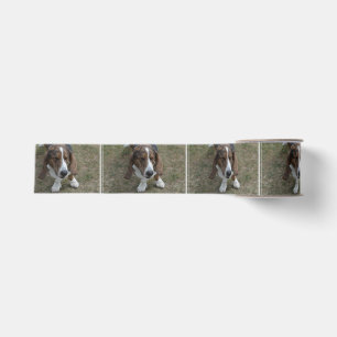 Sweet Basset Hound Grosgrain Ribbon