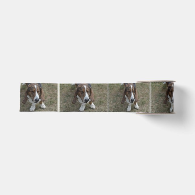 Sweet Basset Hound Grosgrain Ribbon (Front)