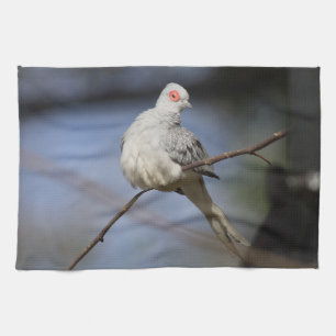 Sweet Beautiful Diamond Dove Kitchen Towel