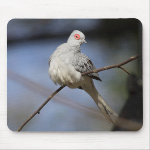 Sweet Beautiful Diamond Dove Mouse Pad