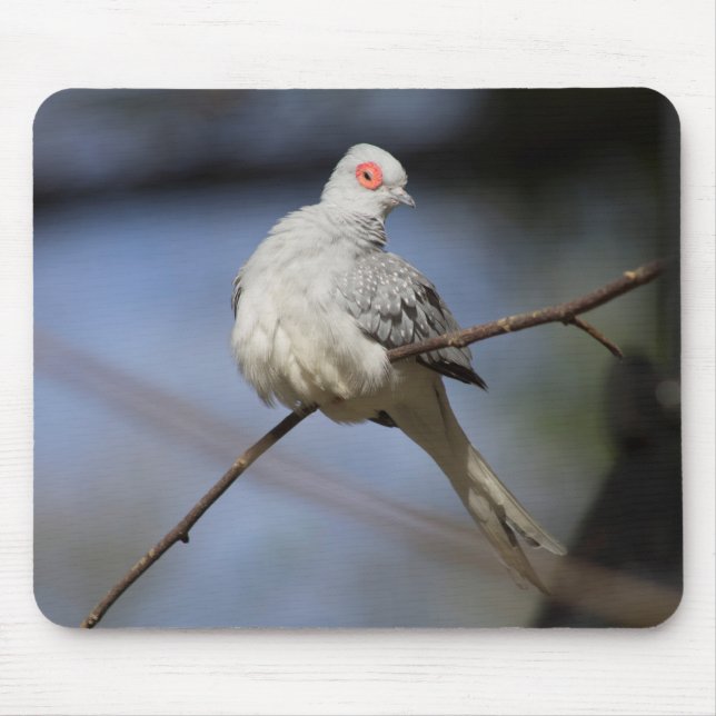 Sweet Beautiful Diamond Dove Mouse Pad (Front)