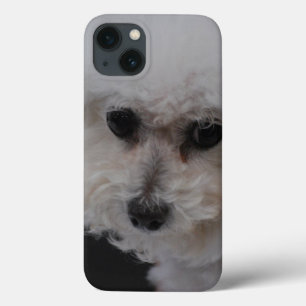 Sweet Bichon Frise iPhone 13 Case