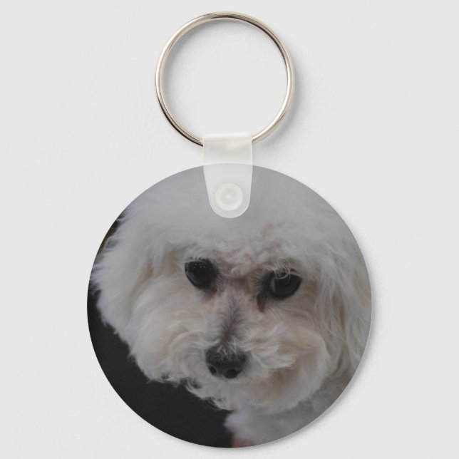 Sweet Bichon Frise Keychain (Front)