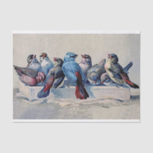 Sweet Birds with blue and red feathers watercolor Tissue Paper