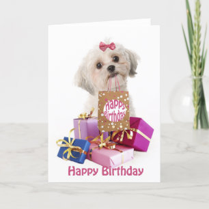 Sweet birthday card dog Maltese and presents