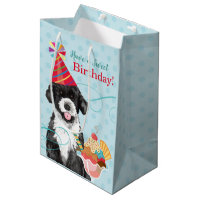 Sweet Birthday Portuguese Water Dog