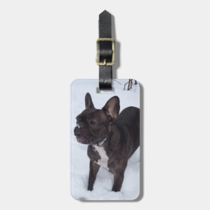Sweet Black French Bulldog Likes Snow Luggage Tag