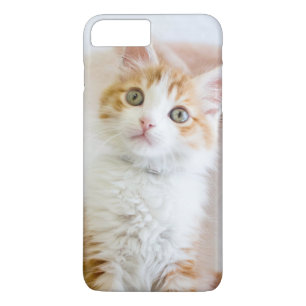 Sweet Blue Eyed Kitty iPhone 8 Plus/7 Plus Case