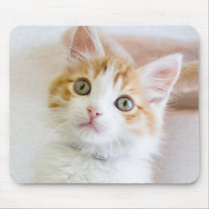 Sweet Blue Eyed Kitty Mouse Pad